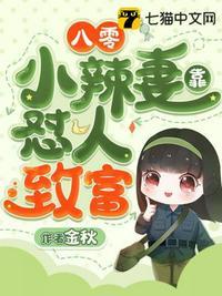 重生八零小辣妻致富