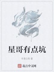 星哥什么意思