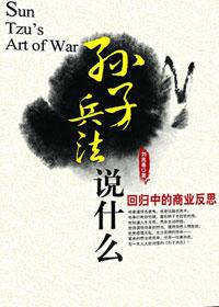 孙子兵法说什么回归中的商业反思 pdf