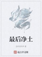 最后净土叫什么名字