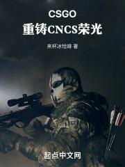 csgo重铸cncs荣光 笔趣阁