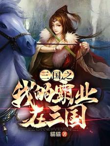 三国之霸业天下