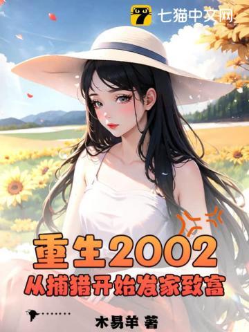 重回2002从芯开始