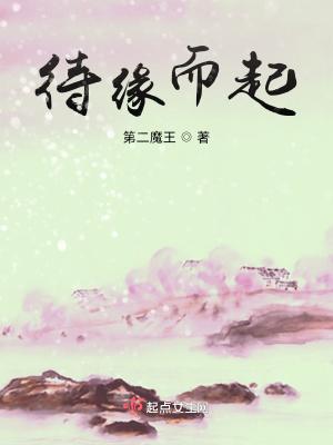 缘起后面接什么