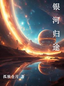 星河归途