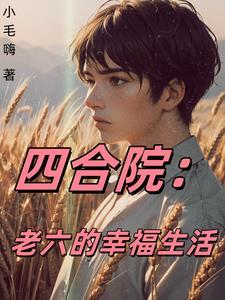 四合院的小女人电视剧