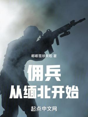 我在缅北当佣兵免费阅读