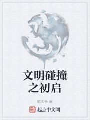 文明的碰撞作文