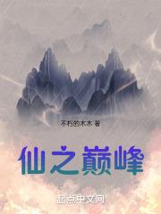 巅峰仙少