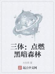 三体：点燃黑暗森林